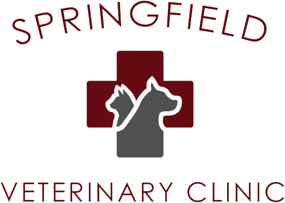 Springfield store vet center